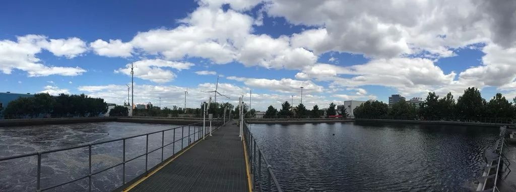 乐中环?？萍嘉鬯砦蚀穑?8）：罗茨鼓风机的构造，罗茨鼓风机的优点和缺点有哪些