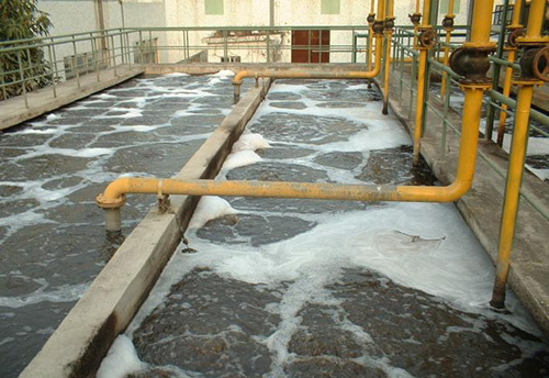 废水处理厌氧生物 废水处理厌氧生物