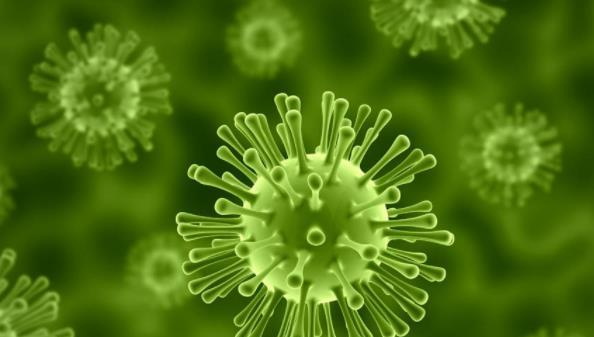 废水处理活性污泥中包含的微生物 废水处理活性污泥中包含的微生物