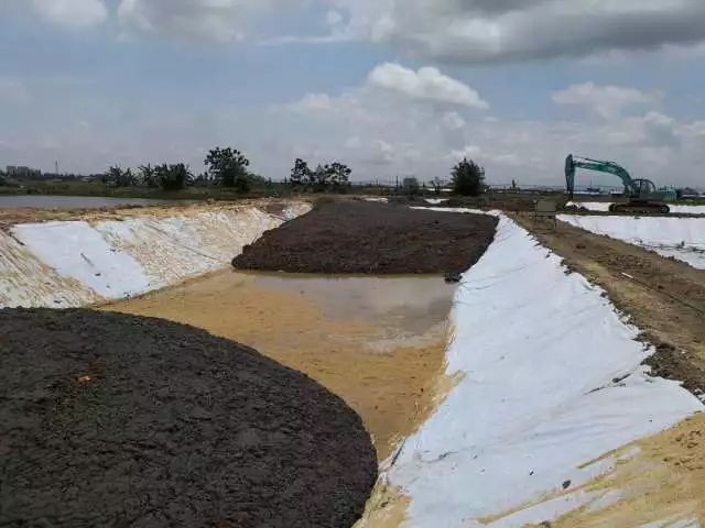 污泥填埋处理 污泥填埋处理