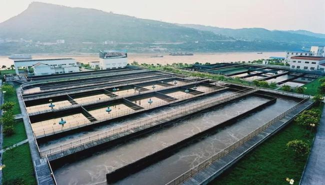 活性污泥净化污水 活性污泥净化污水