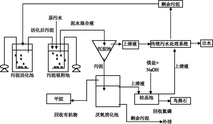 废水排放的生物学指标 废水排放的生物学指标