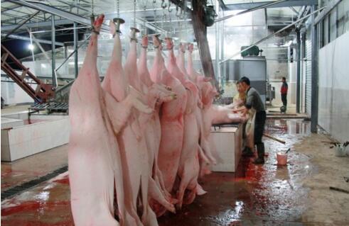 屠宰废水处理方法有哪些？屠宰废水处理设备价格？-01