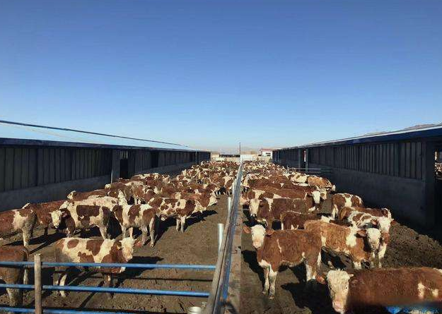 养殖场污水直接排放会面临哪些处罚？JPEG.2