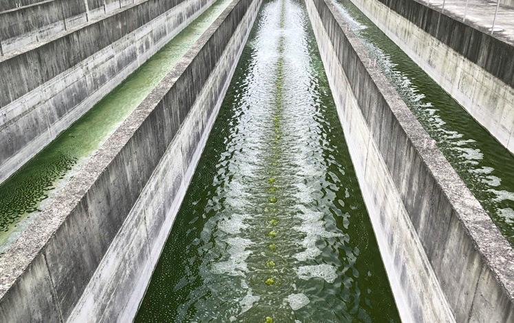 通过投入使用来减少废水的成本 通过投入使用来减少废水的成本