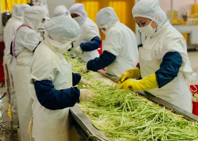 三种食品污水处理设备工艺流程，看看哪种适合您？