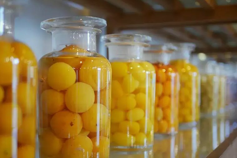 果脯加工废水处理方案|工艺流程|设备-1 果脯加工废水处理方案|工艺流程|设备-1