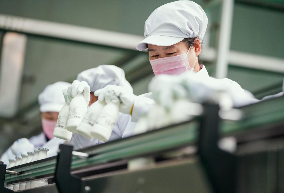 乳制品加工食品废水处理方案|工艺流程 乳制品加工食品废水处理方案|工艺流程